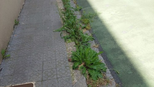 EAJ-PNVk salatu du EH Bilduren legealdia iragarpenez eta emaitza faltaz markatuta egon dela Bakion
