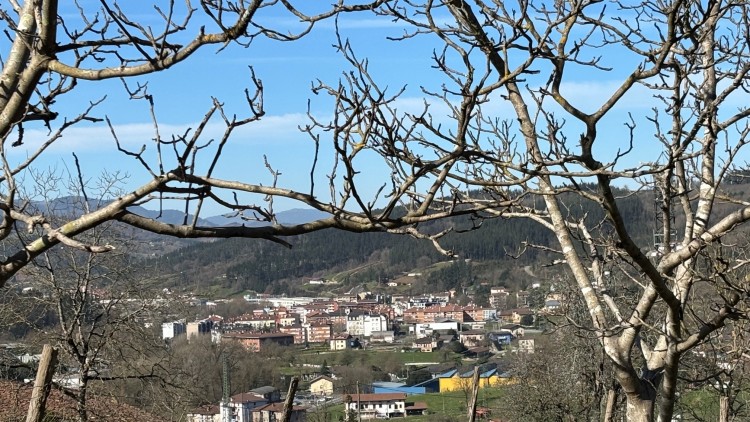 Lemoako EAJ-PNVk nabarmendu du Agintaldi Planaren % 85 beteta edo abian dagoela legealdia amaitu eta urtebetera