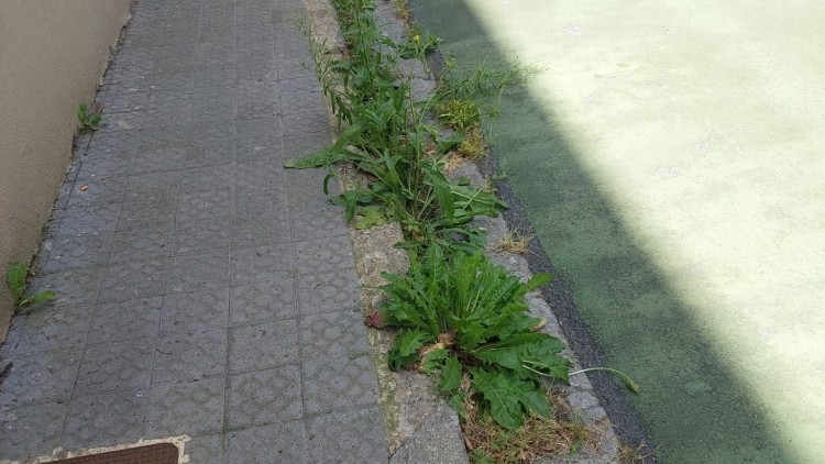 EAJ-PNVk salatu du EH Bilduren legealdia iragarpenez eta emaitza faltaz markatuta egon dela Bakion