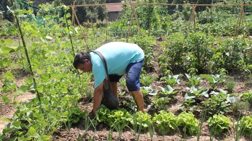 Las huertas ecológicas municipales de Galdakao empiezan a dar sus primeros frutos