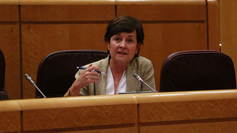 Plentziak Errotabarriko kirol-instalazioetako lursailen emakida zabaltzeko Espainiako Gobernuari egin dion eskaera babestu du EAJ-PNVk