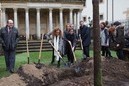 EAJ-PNV asiste a la plantación del joven roble en la Casa de Juntas de Gernika