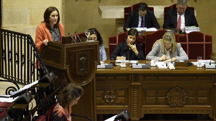EAJ-PNVk Bizkaiko Foru Aldundiari eginiko galderaren bidez agerian geratu da Madrilgo PPk ez duela herrialdearekin hartutako konpromisoa bete EAJ-PNVk Bizkaiko Foru Aldundiari eginiko galderaren bidez agerian geratu da Madrilgo PPk ez duela herrialdearekin hartutako konpromisoa bete