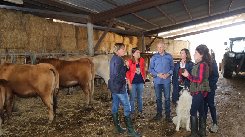 Erkoreka: “Lehen sektore errentagarri, lehiakor eta ingurumen aldetik jasangarriaren alde egiten dugu” Erkoreka: “Lehen sektore errentagarri, lehiakor eta ingurumen aldetik jasangarriaren alde egiten dugu”