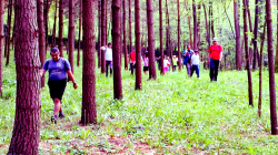 Larrondoko mendi martxa igandean ospatuko da