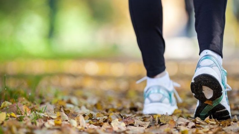 Gatikak ibilbideak sustatu nahi ditu herritarren artean ohitura osasungarriak bultzatzeko Gatikak ibilbideak sustatu nahi ditu herritarren artean ohitura osasungarriak bultzatzeko