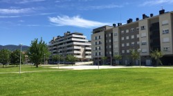 Aramotzek berdeguneak bikoiztu ditu azken urtean