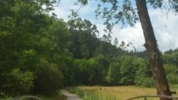 Muskizek Barbaduneko edertasuna erakusten du