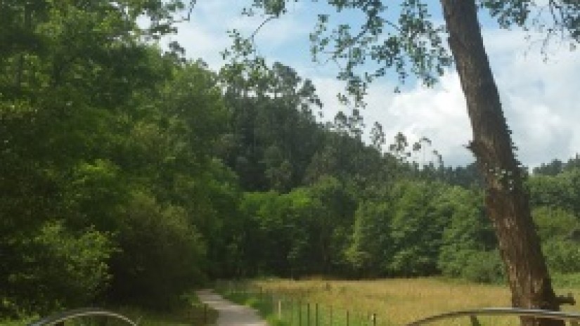 Muskizek Barbaduneko edertasuna erakusten du Muskizek Barbaduneko edertasuna erakusten du