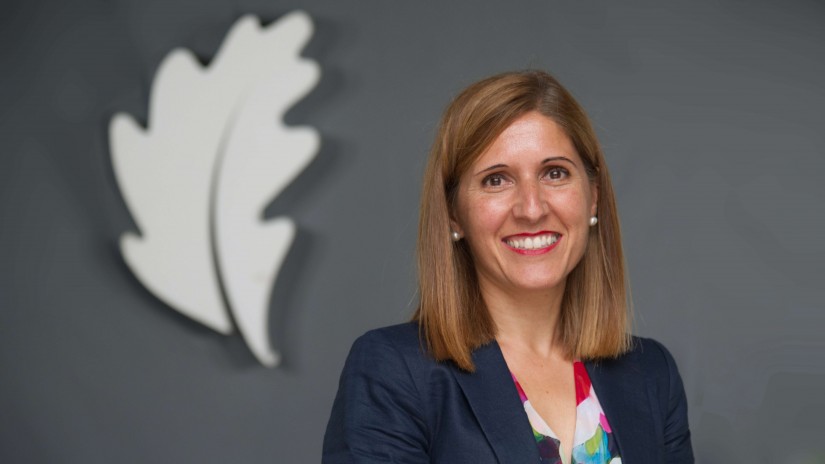 Aldundiak klima-aldaketaren erronka globalari helduko dio, Bizkaia iraunkorrago baterako estrategiaren barruan Aldundiak klima-aldaketaren erronka globalari helduko dio, Bizkaia iraunkorrago baterako estrategiaren barruan