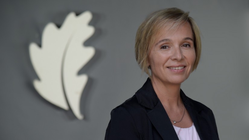 Ekonomia Sustatzeko sailaren ardatzak: industria, ekintzailetza, talentua, turismo jasangarria eta eskualde garapena Ekonomia Sustatzeko sailaren ardatzak: industria, ekintzailetza, talentua, turismo jasangarria eta eskualde garapena