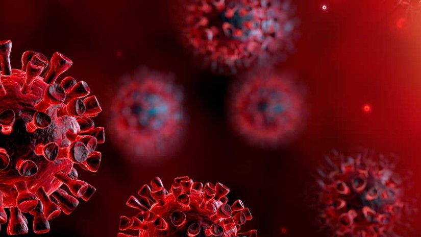 Bizkaiak zergen arloko neurri batzuk onetsi ditu Covid-19 birusak sortu duen osasun-larrialdiaren ondorio ekonomikoak arintzeko Bizkaiak zergen arloko neurri batzuk onetsi ditu Covid-19 birusak sortu duen osasun-larrialdiaren ondorio ekonomikoak arintzeko