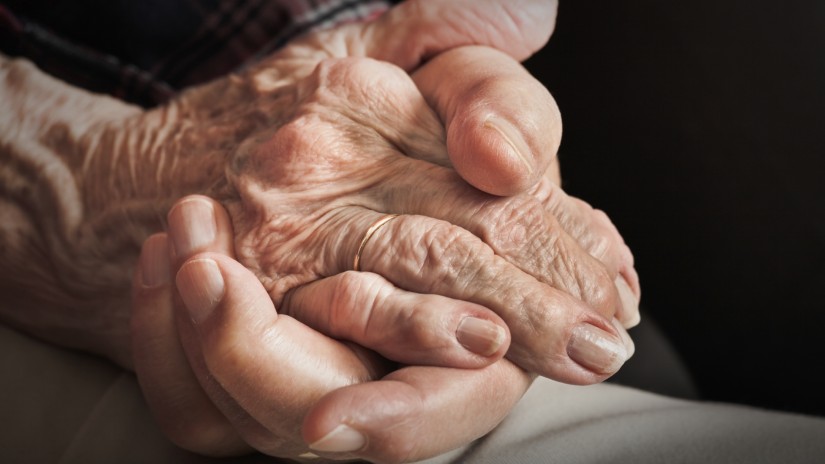 Bizkaiak jarraibideak eta laguntza eskaintzen ditu adinekoen egoitzetan bisitak antolatzeko Bizkaiak jarraibideak eta laguntza eskaintzen ditu adinekoen egoitzetan bisitak antolatzeko