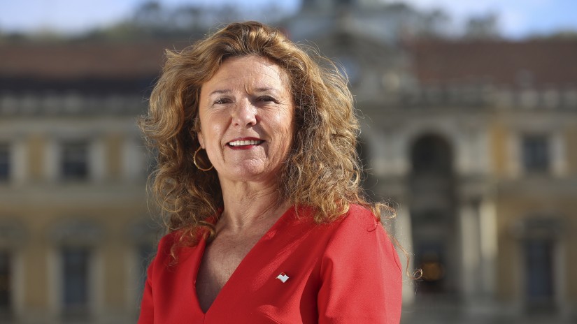 Osasun sailburuak ohartarazi du egoera kezkagarria izan daitekela eta norberaren esku dagoela gorakada hori gelditzea Osasun sailburuak ohartarazi du egoera kezkagarria izan daitekela eta norberaren esku dagoela gorakada hori gelditzea