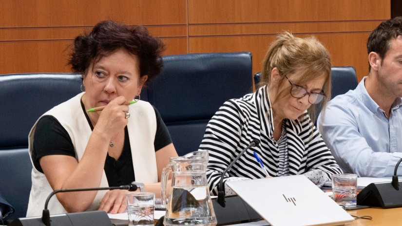EAJ-PNVk txalotu du Mugikortasun Iraunkorreko sail propioa sortu izana, Euskadiren konektibitatea hobetzen jarraitzeko EAJ-PNVk txalotu du Mugikortasun Iraunkorreko sail propioa sortu izana, Euskadiren konektibitatea hobetzen jarraitzeko